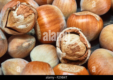 Fresh brown hazelnut as background in closeup. Selective focus. Stock Photo