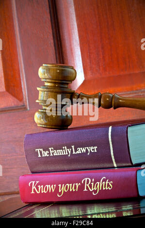 CONSUMER LAW PROTECTION Legal concept of Judges wooden gavel with home reference legal advice books on leather bound desk Stock Photo