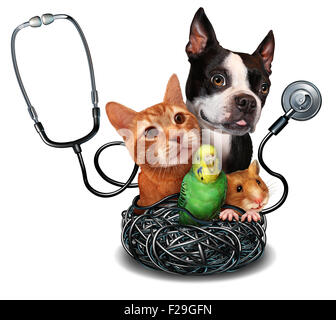 Veterinary care and pet medicine concept as a group of domesticated animals as a cat dog hamster and bird as a symbol for veterinarian medical healthcare and health insurance for pets. Stock Photo