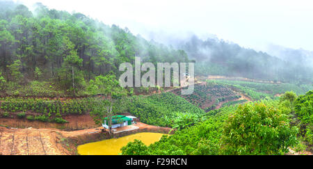 Little House on the Prairie Lam Dong in the morning Stock Photo