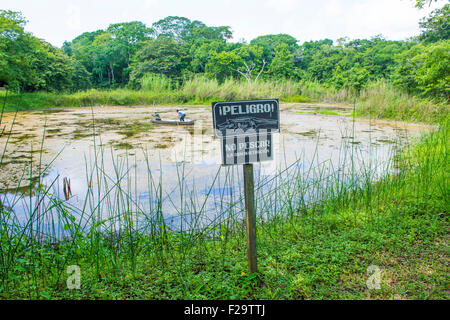 Crocodile warning sign near an artificial pond in Tikal Guatemala's national park Stock Photo