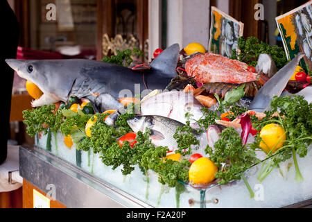 Fresh fish in the fish market Stock Photo