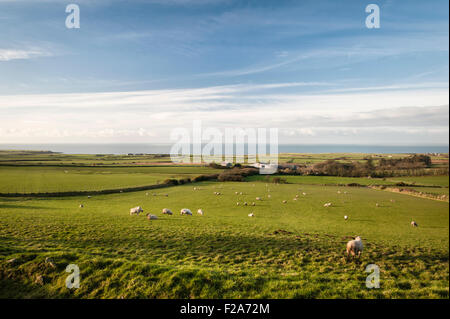 Penllech, on the Lleyn peninsula, Gwynedd, Wales, UK. The remote and now redundant St Mary's Church Stock Photo