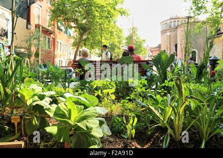 Urban community garden in Venice Stock Photo