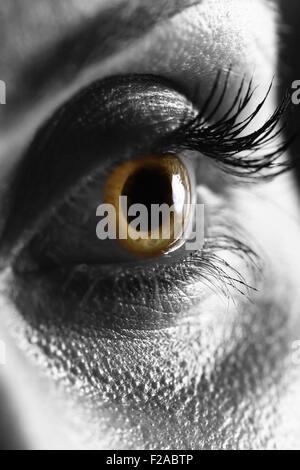 Extreme macro view on human brown eye Stock Photo