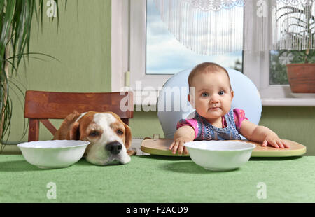 little girl with a dog waiting for dinner Stock Photo