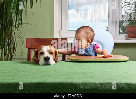 little girl with a dog waiting for dinner Stock Photo