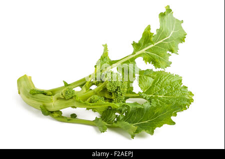 Fresh  rapini or broccoli rabe  isolated on white background Stock Photo