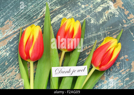 Dank je wel (which means thank you in Dutch) with red and yellow tulips Stock Photo