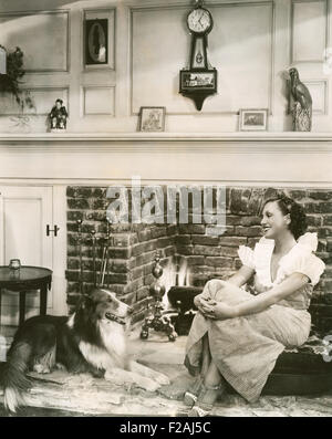 Relaxing in front of the fireplace with her collie (OLVI007 OU827 F) Stock Photo