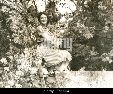 Trimmer of trees (OLVI007 OU646 F) Stock Photo