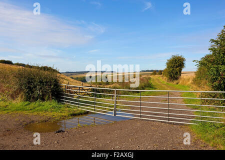 A metal farm gate and puddles on the wolds way long distance footpath in the scenic Yorkshire wolds in September. Stock Photo