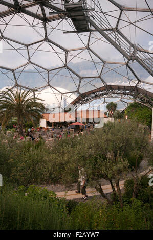 Inside The Mediterranean Biome In The Eden Centre Cornwall England UK Stock Photo