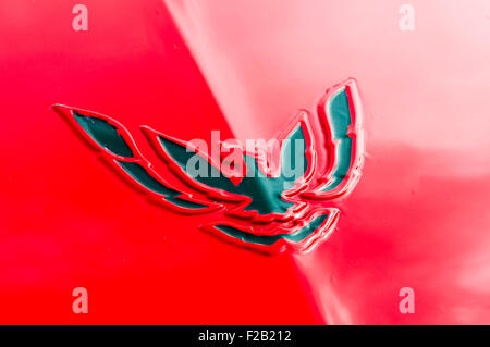 Logo on the bonnet (hood) of a Pontiac Firebird Trans-Am Stock Photo