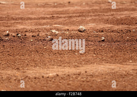 Tropical Laterite Soil Or Red Earth Background Red Mars Seamless Sand Background Top View