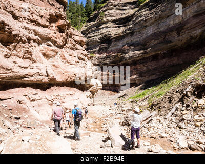 GEOPARC Bletterbach canyon, layers of sediments, stratum, people hike inside the gorge, Aldein, south Tyrolia, Italy Stock Photo