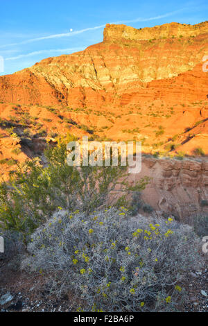 Colorful butte at Hurricane Mesa at sunrise along State Highway 9 near La Verkin, Utah west of Zion National Park Stock Photo