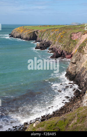 Rugged coastline near St David's, Pembrokeshire, Wales, UK Stock Photo ...