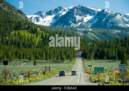 View of mountains and forest from the June Lake Loop Road in California, USA. Stock Photo