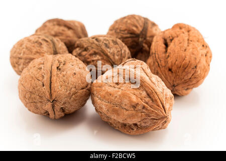 Walnuts in shell isolated on white. Stock Photo