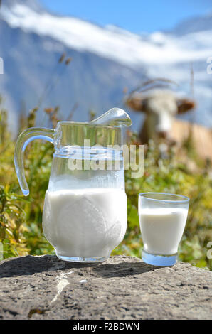 Jug of milk against herd of cows. Jungfrau region, Switzerland Stock Photo