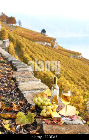 Red wine and grapes. Lavaux region, Switzerland Stock Photo - Alamy