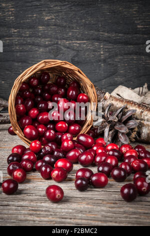 Fresh ripe cranberries spilling out of basket on rustic dark wooden background. Stock Photo