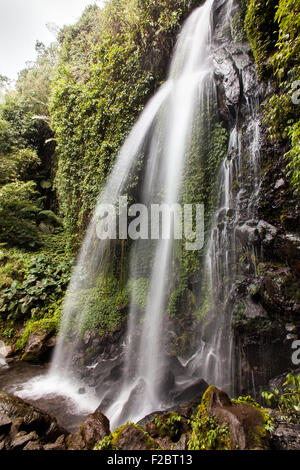 Jumog Waterfall located on the forested slopes of the dormant volcano ...