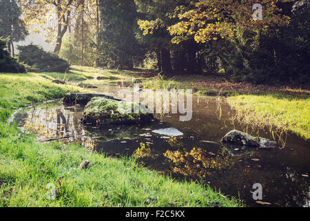 Stones overgrown with moss in the brook. Seasonal natural theme. Stock Photo