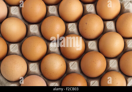 Eggs Stock Photo