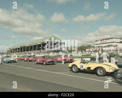 Goodwood Revival 2015. Ferrari in the Levant Cup pre start holding area Stock Photo