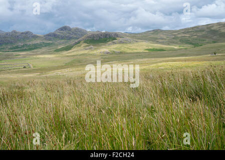 Near Devoke Water in the English Lake District National Park looking Easterly from Austhwaite Brow. Stock Photo