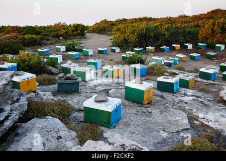 Beehives on the Greek island of Ikaria Stock Photo