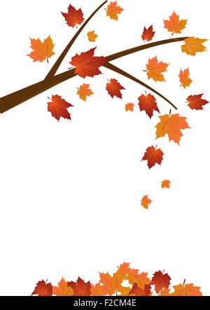 Autumn Frame With Blowing Maple Leaves Over White Background. Elegant ...