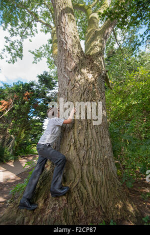 Boy of 9 years attempting to climb a large tree Stock Photo