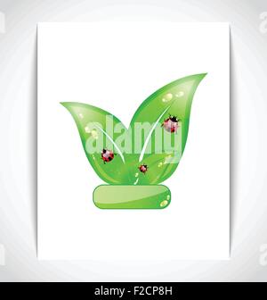 Green eco leaves with ladybugs on the white paper Stock Vector