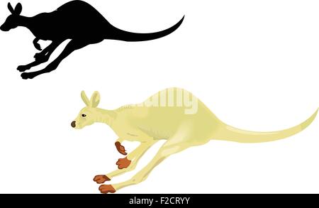 Running kangaroo isolated on a white background Stock Vector