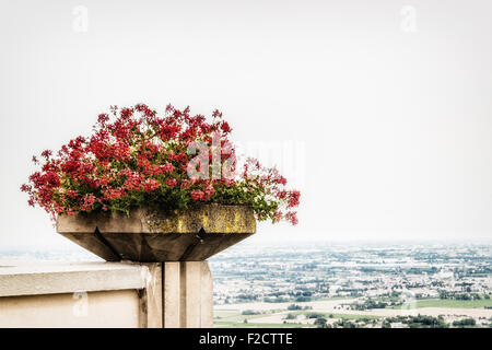 nature and memories - pot of geraniums and view from the terrace of the medieval village of bertinoro in Italy overlooking the hills of the Romagna countryside sloping down to the sea Stock Photo