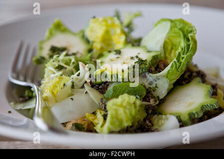 Side view of green salad with squash and butter lettuce on white plate with fork Stock Photo