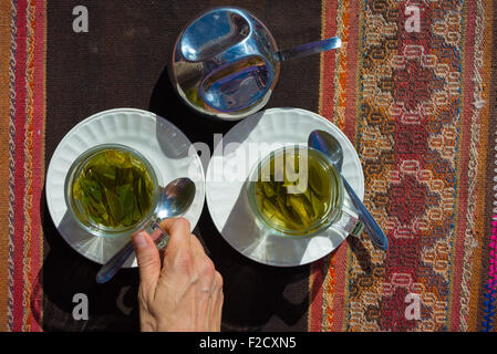 Tea cups with Coca leaves infusion known as 'Mate de Coca', typical drink of local people leaving at high altitude on the Andes Stock Photo