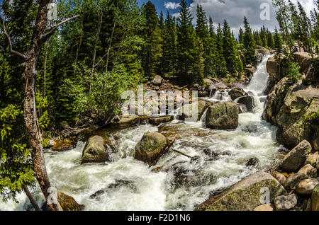 Fisheye view of Alberta Falls as it  rushes in early summer while snow melt adds to its flow Stock Photo