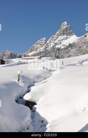 Snowy winter fir forest, run ski rut and Dachstein mountain massif ...