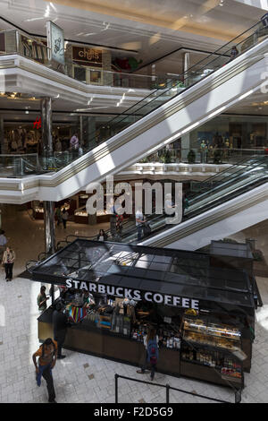 Starbucks coffee Atrium MacArthur Center mall Norfolk Virginia USA Stock Photo