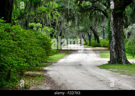 Scenes from Bonaventure Cemetery in Savannah Georgia Stock Photo