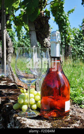 Bottle of champagne, pair of glasses and grapes against vineyards Stock Photo