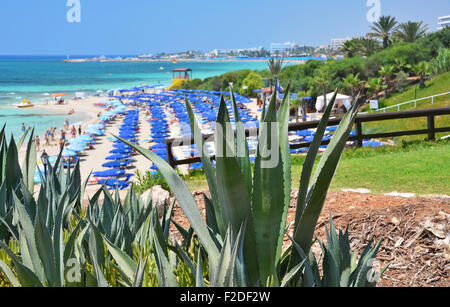 Beach in Ayia Napa, Cyprus Stock Photo