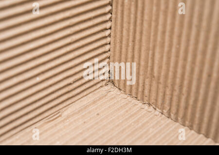 cardboard corrugated pattern at three different angles Stock Photo