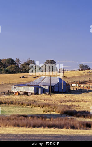 OLD SHEARING SHED, KINGSVALE, NEW SOUTH WALES, AUSTRALIA Stock Photo