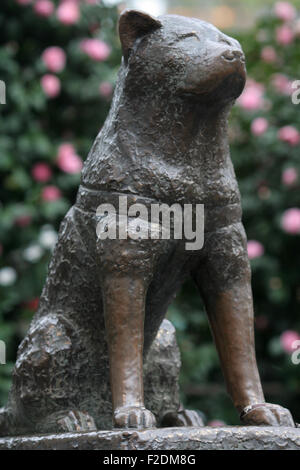 Hachiko statue with pink flowers in background Stock Photo