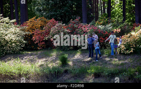 Visitors in Babite Rhododendron Park Latvia Stock Photo